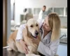 dog-at-vet-800x534-(1).webp